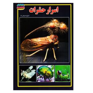 کتاب اسرار حشرات اثر فروغ سروش راد انتشارات حباب | دومو بوک