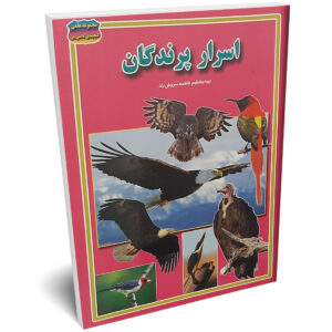 کتاب اسرار پرندگان اثر فاطمه سروش راد انتشارات حباب | دومو بوک