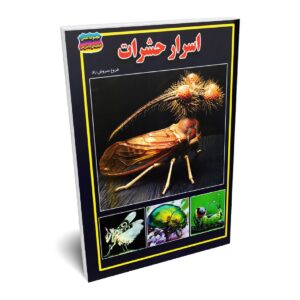 کتاب اسرار حشرات اثر فروغ سروش راد انتشارات حباب | دومو بوک