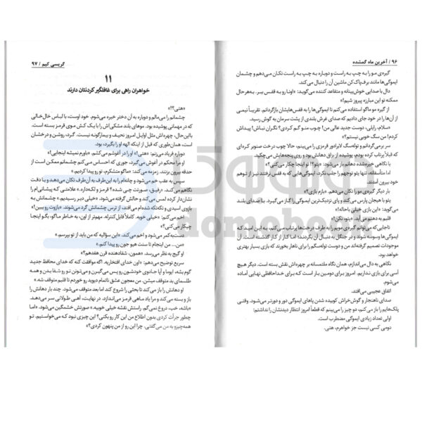 کتاب آخرین ماه گمشده اثر گریسی کیم انتشارات ایرمان - دومو بوک