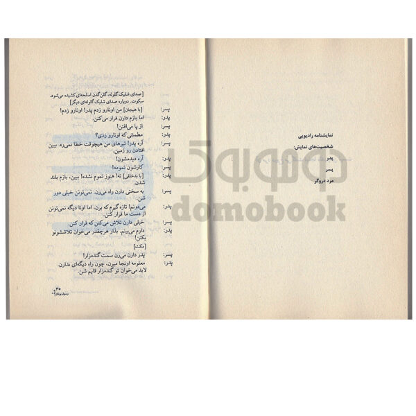 کتاب آن مرد دروغ می‌گفت اینجا بلدرچین نیست انتشارات چلچله - دومو بوک