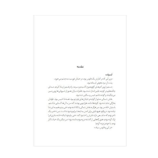 کتاب سینت اثر آدرین یانگ نشر به روز (جلد چهارم فابل) | دومو بوک