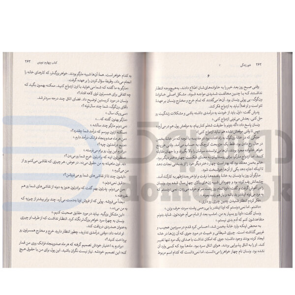 کتاب شور زندگی اثر ایروینگ انتشارات آزرمیدخت - دومو بوک