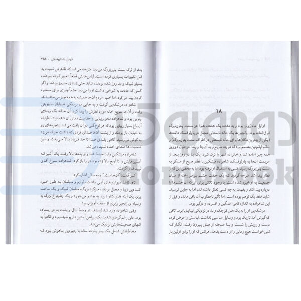 کتاب ابله اثر فئودور داستایوفسکی انتشارات یاقوت کویر 2 جلدی - دومو بوک