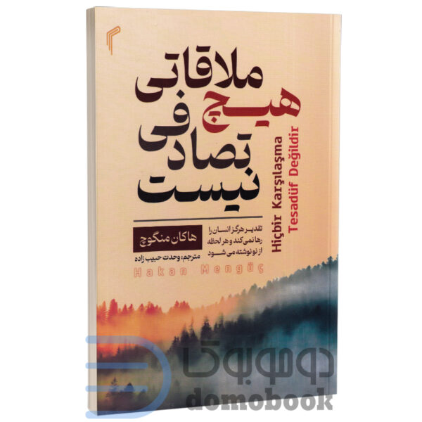 کتاب هیچ ملاقاتی تصادفی نیست اثر هاکان منگوچ انتشارات تیموری - دومو بوک