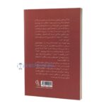 کتاب دجال اثر فردریش نیچه انتشارات آزرمیدخت - دومو بوک